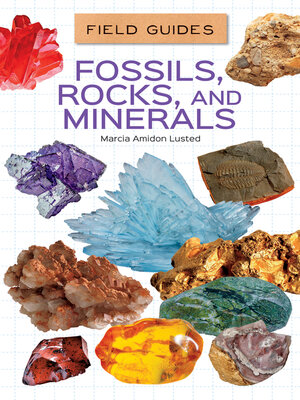 cover image of Fossils, Rocks, and Minerals